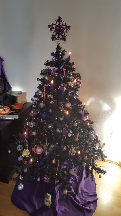 20151212_115854.jpg
