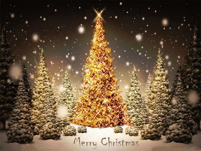 large.Merry_Christmas_122515.jpg.9e95abd