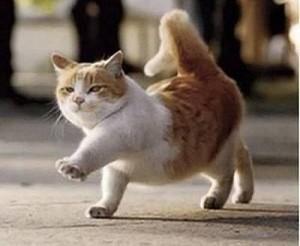 large.56907a4b32397_diary010816.jpg.3e77