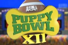 large.56b7a5240ba31_Puppy-Bowl-XII-225x1
