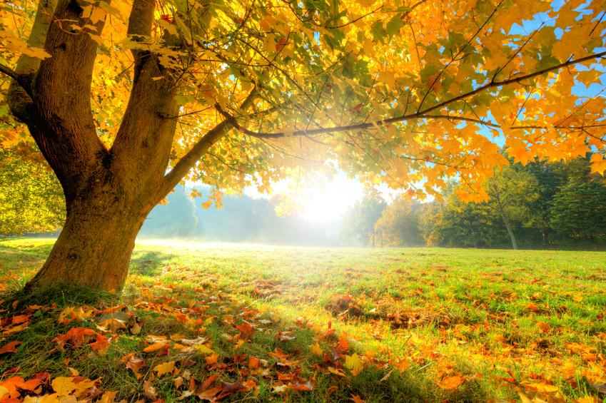 large.57e37b98272e6_autumn-equinox092216.jpg