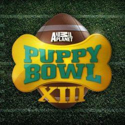 large.5897e6936a1b5_Puppy-Bowl-Live-Stream-2017-250x250020517.jpg