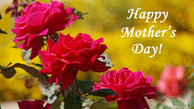 large.59169bdae6293_Happy-Mother-Day-Rose-Flowers051317.jpg