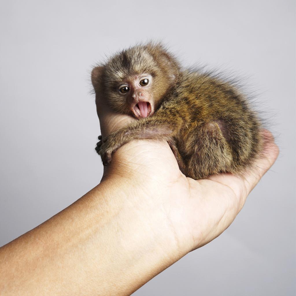 large.IMG_20171017_160319.jpg.7a131542be