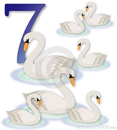 large.5a374fb399fb0_7swansaswimming121317.jpg