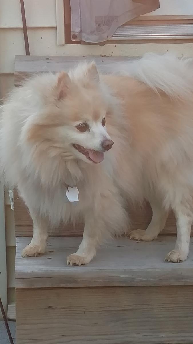 large.IMG_20161106_162704126.jpg.ea22661