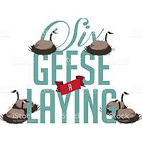 large.1246772965_6Geese121219.jpg