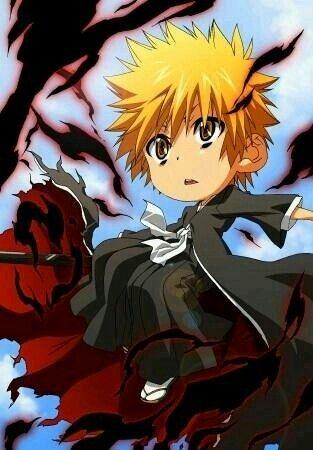 large.70982492_ChibiIchigoBleach110120.jpg