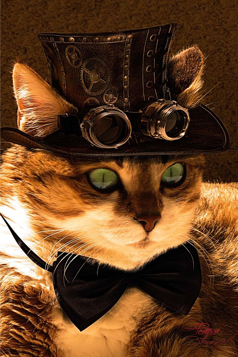 large.1927604711_CatSteampunk020222.jpg