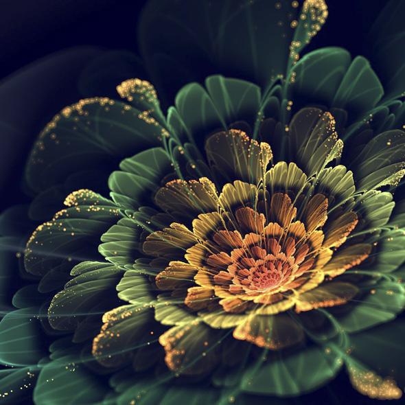 large.913935258_fractal-flowers-picame4081422.jpg