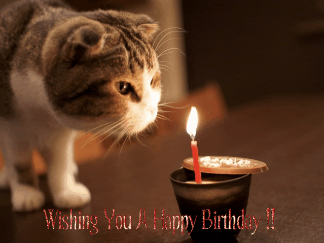 small.2-Funny-Happy-Birthday-Gif.gif.be4